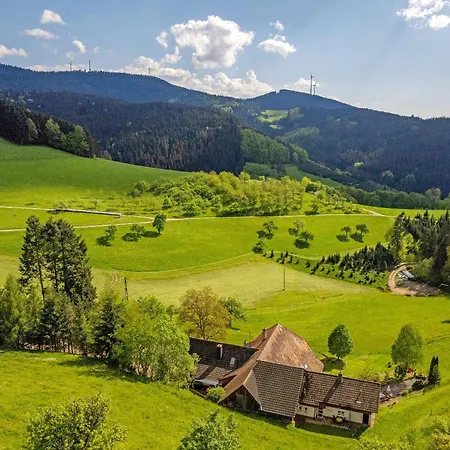 Appartement Schwarzwaldliebe Oberharmersbach