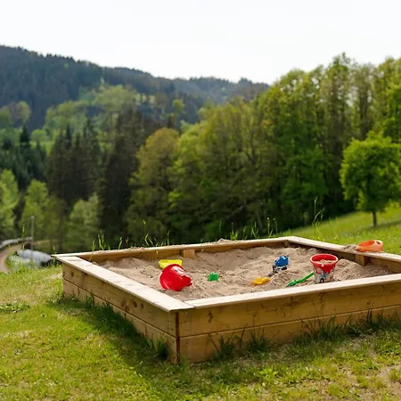 Appartement Schwarzwaldliebe Oberharmersbach