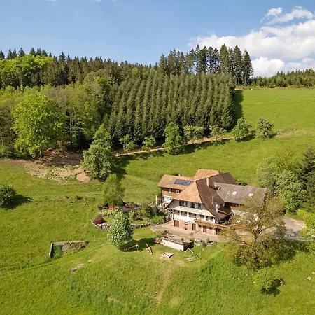 Apartamento Schwarzwaldliebe Oberharmersbach